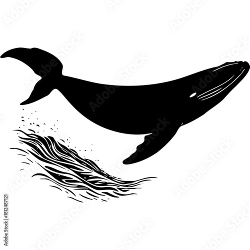 Whale silhouette vector ocean animal marine life aquatic mammal design art