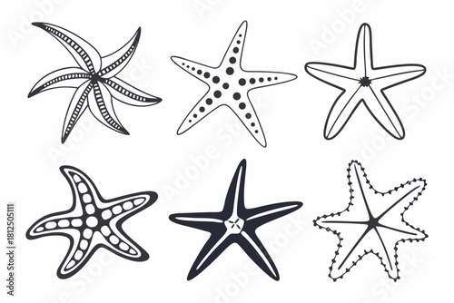 Minimal starfish outline icon set for marine and nautical designs