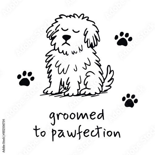 Black-and-white cartoon illustration of fluffy dog with paw prints and “groomed to pawfection” message in whimsical pet grooming theme