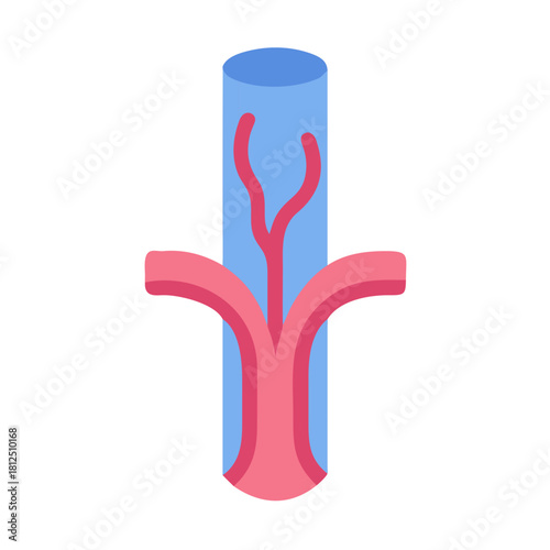 Blood vessel structure in human body, artery and vein representation, medical illustration
