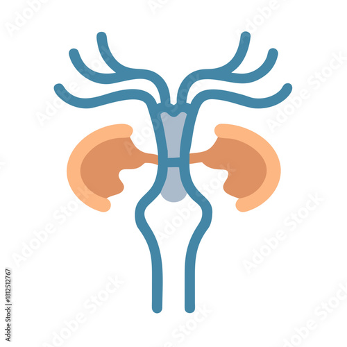 Stylized graphic illustration of kidneys and renal system on a black background