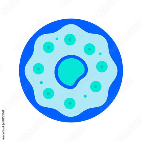Modern flat illustration of an amoeba cell, medical or science background