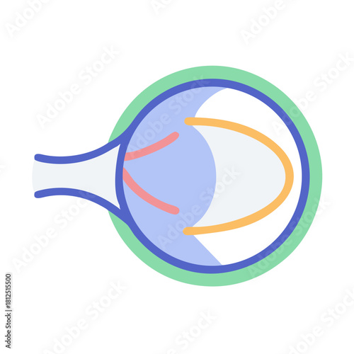 Anatomical eye diagram: cross-section view exhibiting its internal parts and key anatomical structures.