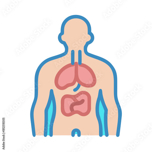 Human anatomy vector graphic showing internal organs on black background for educational purposes