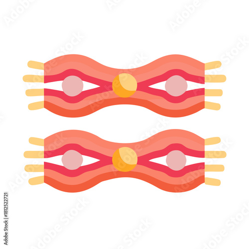 Colorful stylized graphic of two textiles with fringed edges on black background