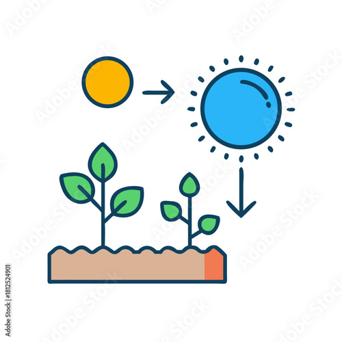 Illustrative stock image of plant growth process with sun energy and photosynthesis