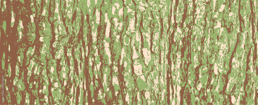 Obraz premium Tree bark texture