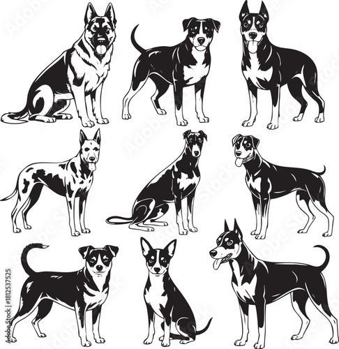 Collection of diverse dog breeds in black and white design
