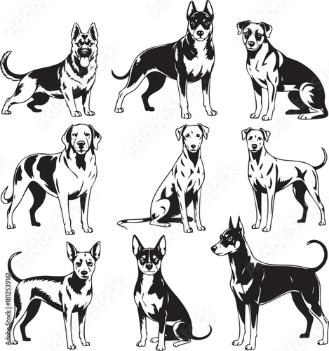 Dog breeds silhouette collection vector illustrations of adorable canine companions
