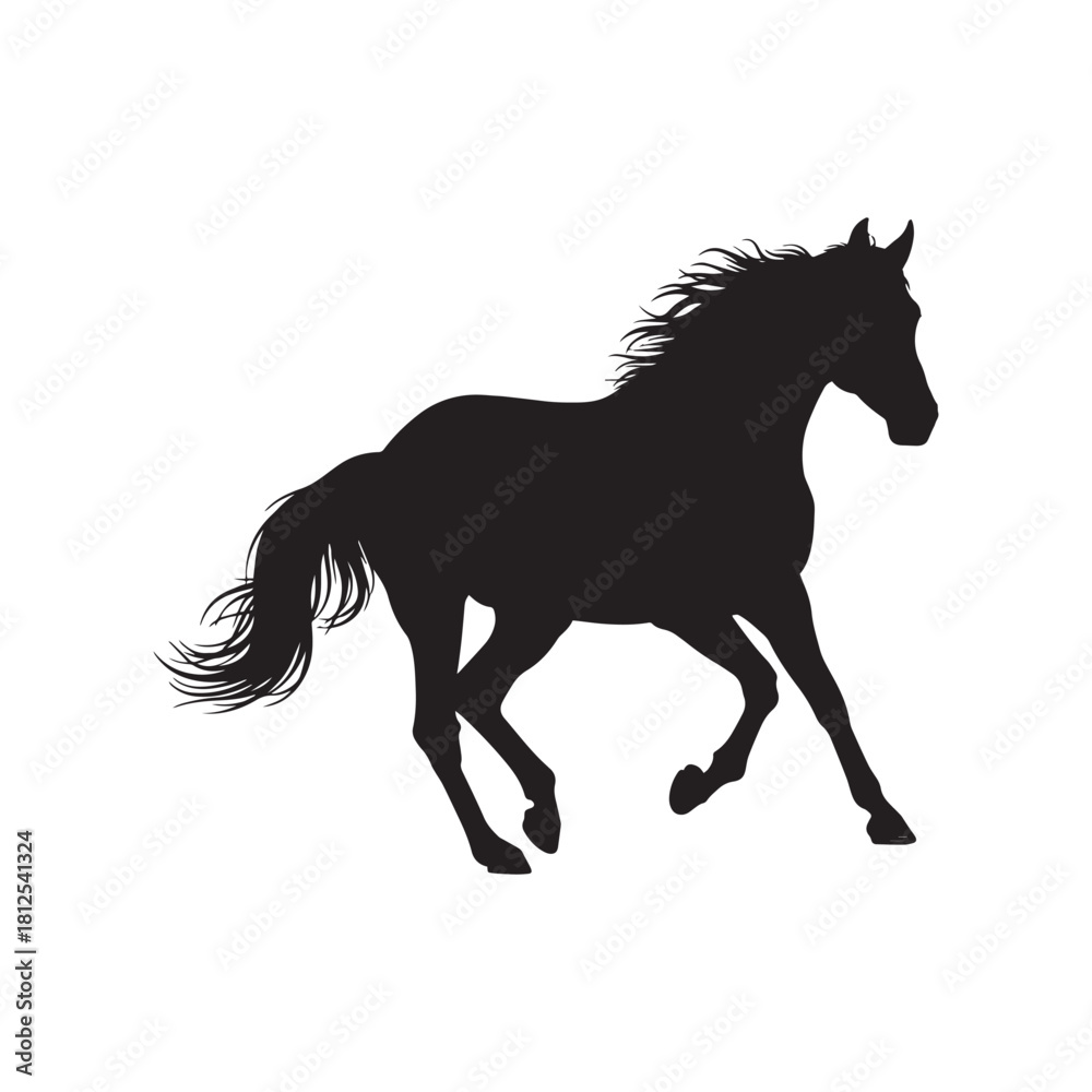 Obraz premium Horse silhouettes