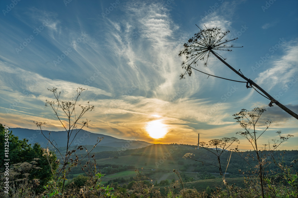 Naklejka premium Beautiful sunset over mountain valley with dried wildflower stems silhouetted against golden sky and dramatic cloud formations above hills