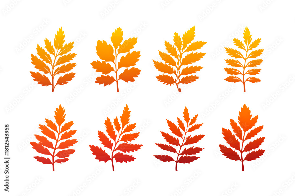 Obraz premium Autumn Leaves Collection: Vibrant Fall Foliage Illustrations.