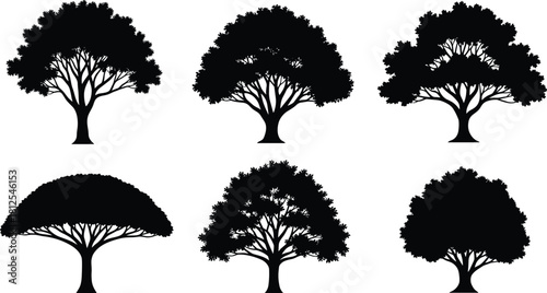 Tree silhouette collection, black tree shapes, botanical elements, forest design, nature icons, landscape assets, flat vector illustration