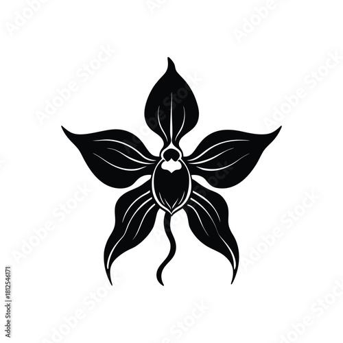 Elegant black silhouette of a five petal orchid flower