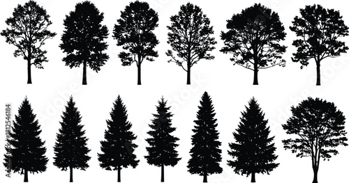 Tree silhouette collection, coniferous and deciduous trees, forest icons, nature shapes, botanical elements, black vector trees, flat vector illustration