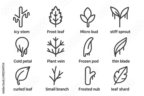 Frozen Plant Icons. Frozen plant forms. Line outline icon set of Frozen plant forms: icy stem, frost leaf