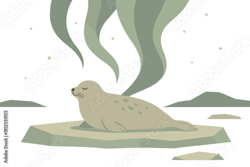 Seal Under Aurora. Seal on ice floe minimalist flat illustration of a seal resting on flat ice beneath pale