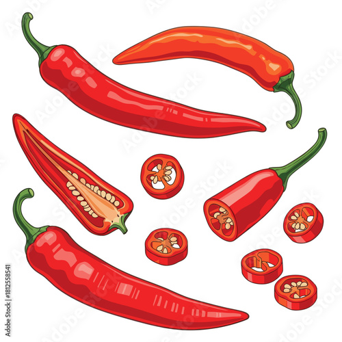 Vector illustration of red chili peppers shown whole, halved, and sliced, highlighting spicy food ingredients and cooking elements for culinary design and food-related projects