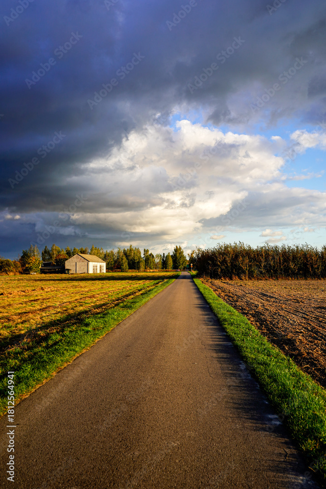 Obraz premium road in the field and stormy sky