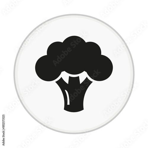 cauliflower vector