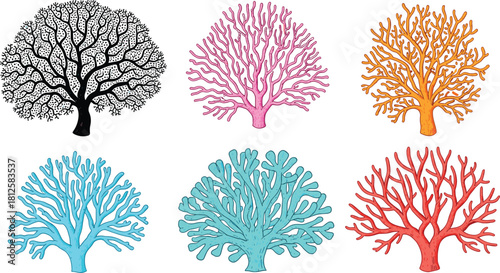 Colorful hand-drawn coral collection featuring vibrant sea fan and reef coral illustrations for ocean, marine life, underwater decoration, and nature designs