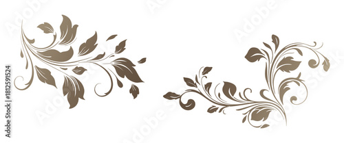 Elegant vector floral corner ornaments with swirling leaves and decorative flourishes, detailed vintage-style embellishments for frames on transparent background