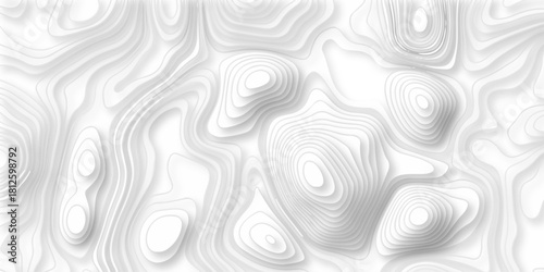 Abstract topography pattern seamless lines sea map modern design white background. Abstract digital topographic contour map concept space geometric strip grid line. Natural discovery of maps.	