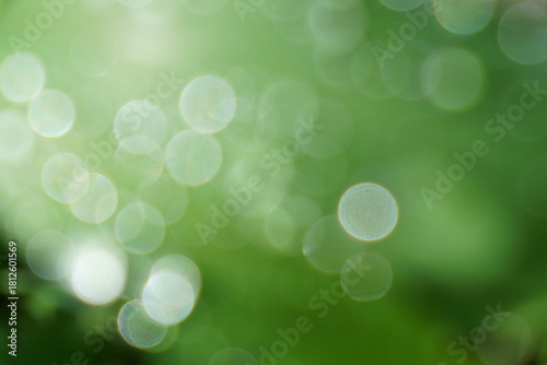 abstract image of bokeh effect with circles of soft greenish-white light on a soft, calm green background suitable for background images
