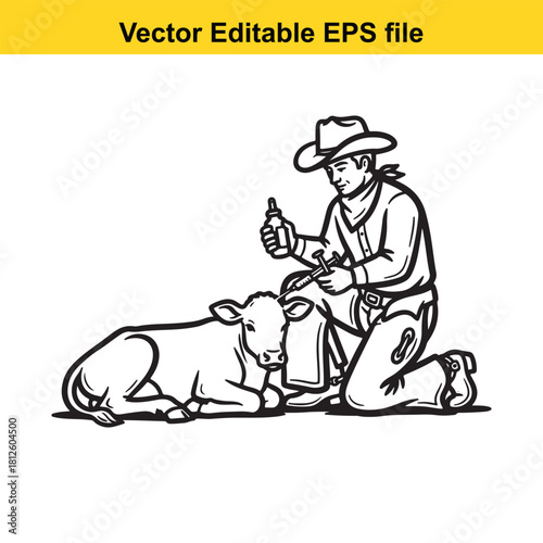 Vector editable eps file line art illustration of a cowboy kneeling down to vaccinate a lying calf on