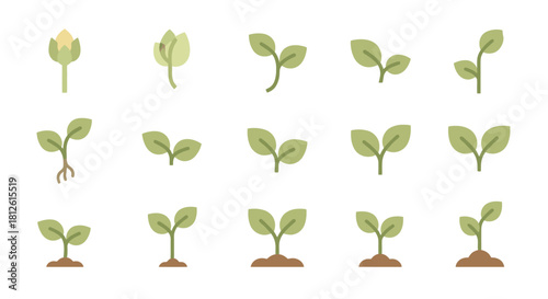 Collection of green plant sprouts and seedlings in various growth stages.