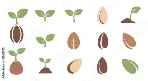 Set of various seeds and seedlings illustrating different stages of plant growth and germination.