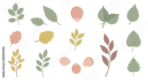 Collection of various autumn leaves in soft muted colors perfect for seasonal designs.