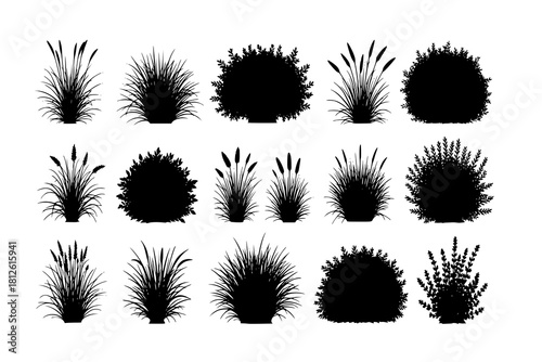 set of bush grass shrub herb silhouette vector transparent background
