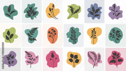 Colorful floral illustrations with various leaf shapes and patterns on a pastel background