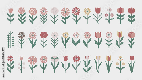 Colorful floral illustration with various flowers and plants in a garden setting