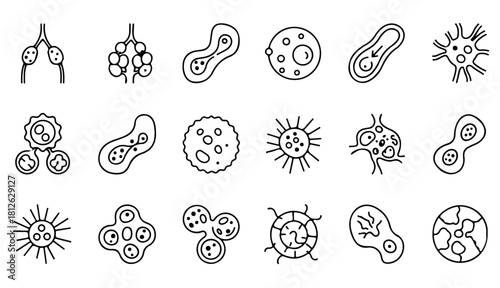 Detailed illustrations of diverse cells and microorganisms for science education materials