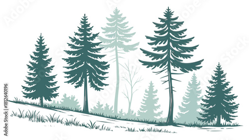 minimalist forest landscape illustration with tall evergreen pine and spruce trees in teal green shades with grass undergrowth on white background