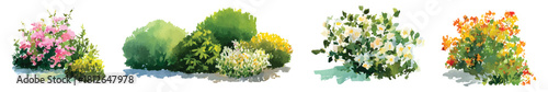 Spring flower bushes shrub landscaping gardening watercolor set isolated on transparent background