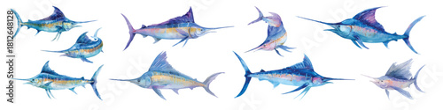Swordfish swimming ocean marine life underwater elements watercolor set isolated on transparent background