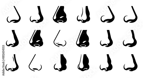 Set of Human Noses Side View Silhouette and Outline Icons Vector Collection