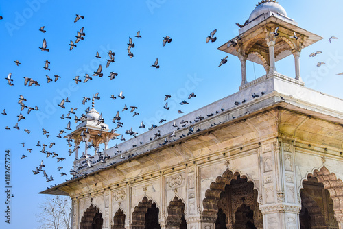 Pictures from Rajasthan, India.