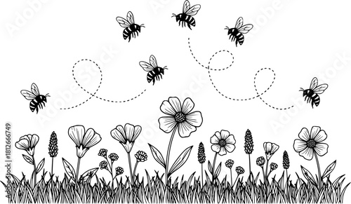 A black and white drawing of bees flying over flowers and grass with dotted lines behind them
