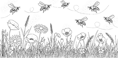 A black and white drawing of bees flying over flowers and grass with dotted lines behind them
