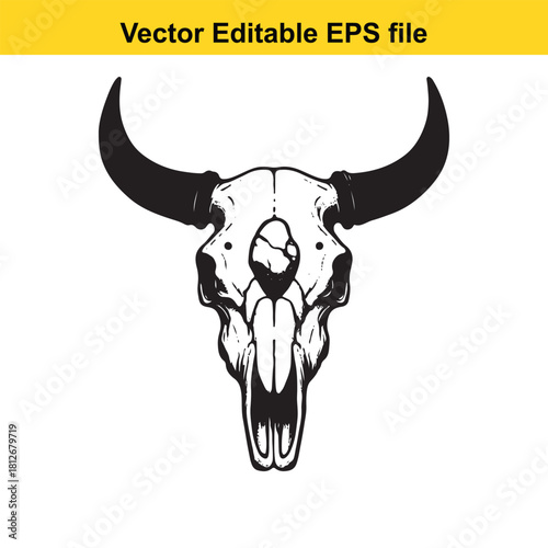Vector illustration of a bull skull with horns isolated