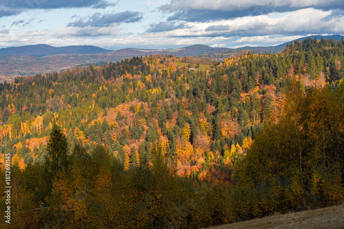 Fototapeta Naklejka Na Ścianę i Meble -  autumn forest of the Silesian Beskids illuminated by the sun