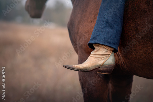 Canvas Print girl on horse