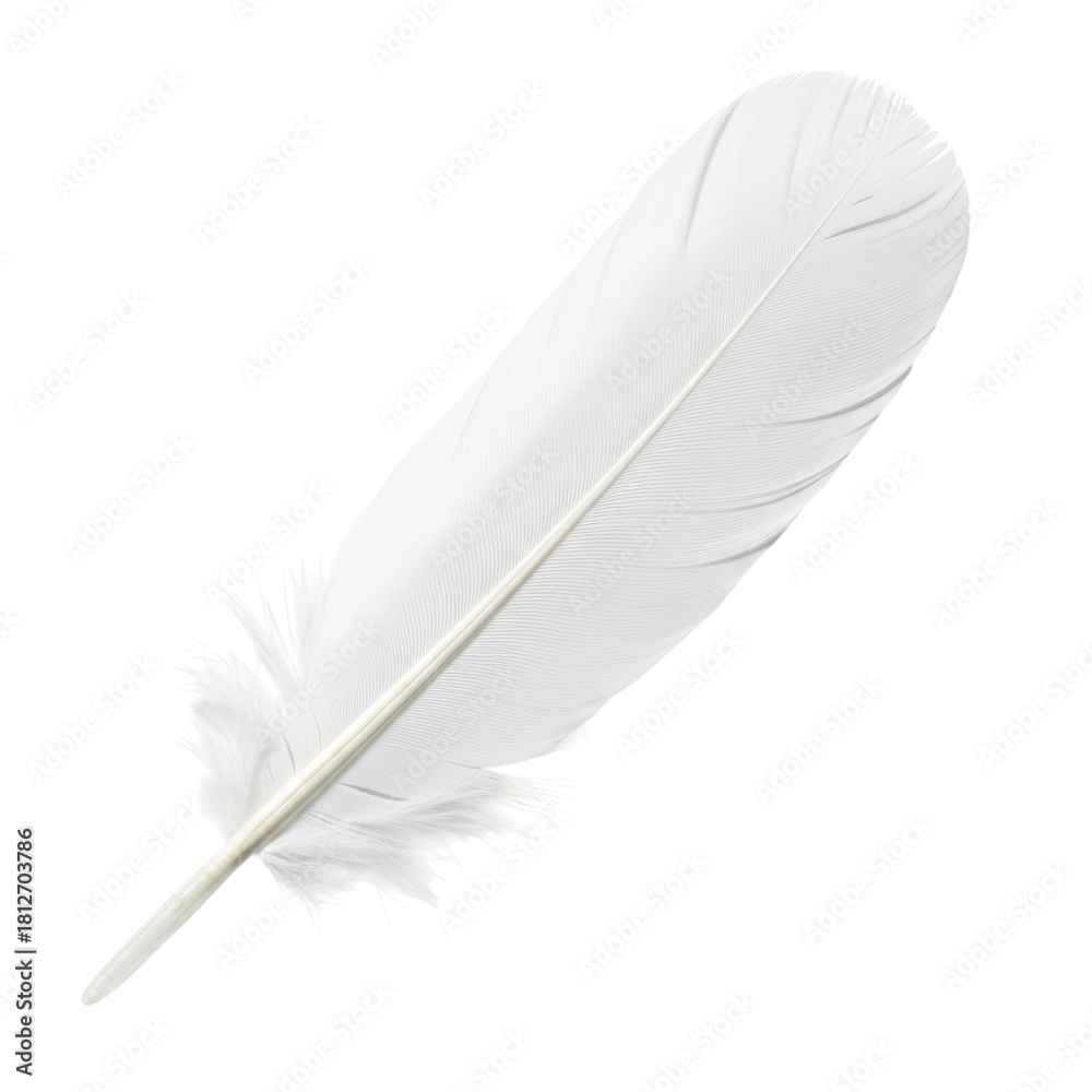 Obraz premium Delicate white feather with transparent background for artistic projects