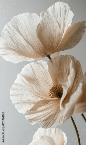 Soft Peach Flower Captured in Gentle Light With Delicate Petals and Vibrant S...