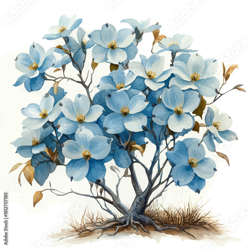 A Dogwood Tree, watercolor drawing vector, isolated on a white background.