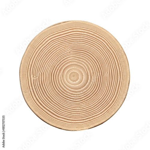 Cross section of tree trunk with annual growth rings
